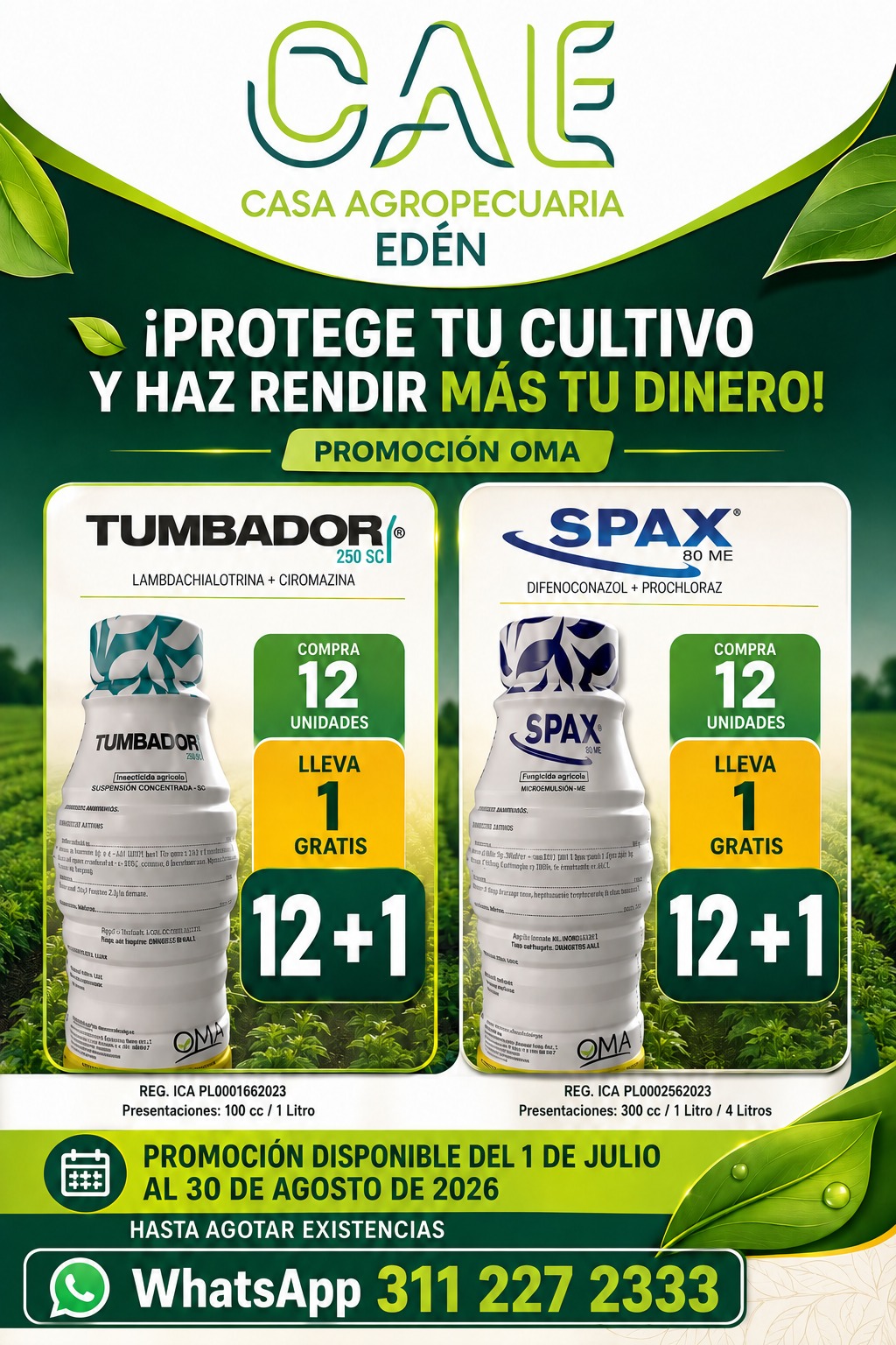 Pica Pasto 8 HP
